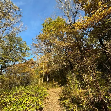 Na Wzgorzu 威利兹卡